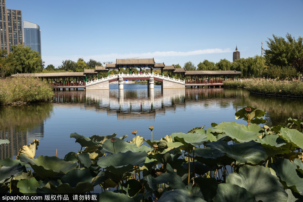 中国北京通州西海子公园秋日风光美