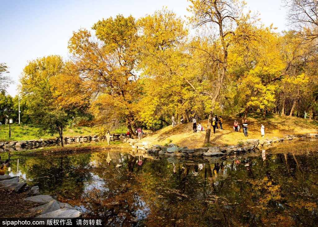 来北京赏秋好去处圆明园遗址公园