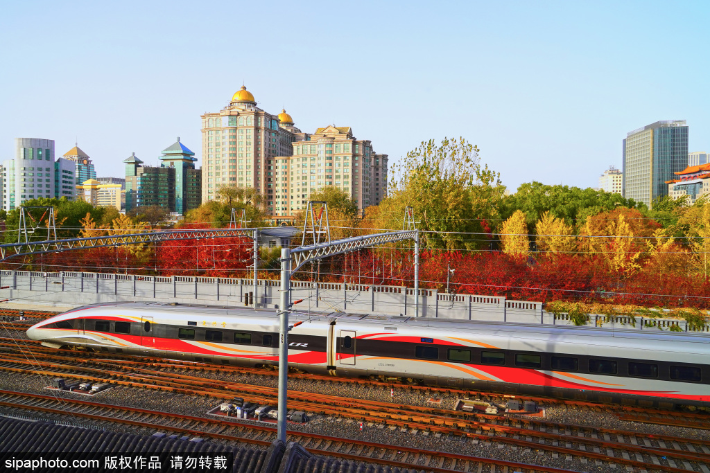 火车站周边现绝美冬景，高铁与彩叶同框成一道靓丽的风景线