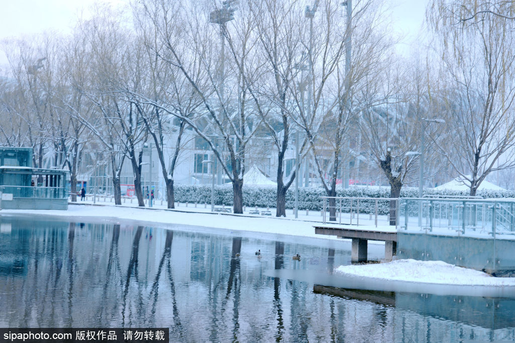 北京喜迎初雪 奥林匹克广场公园美如画