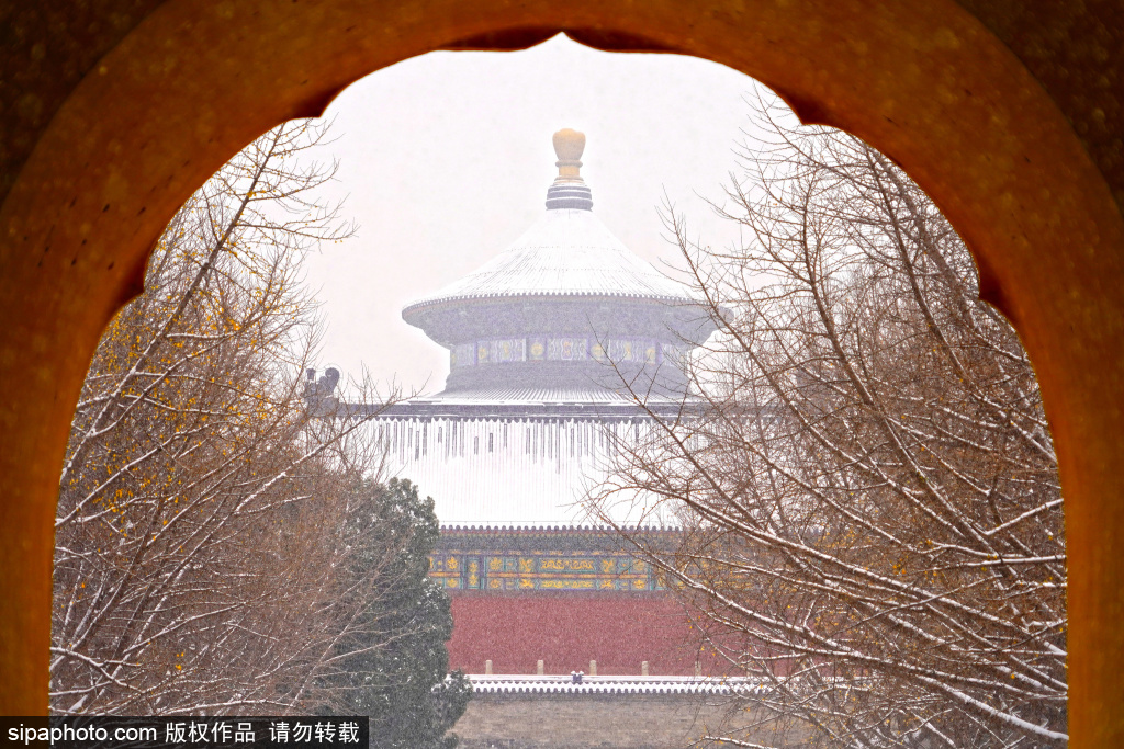 北京降下鹅毛大雪，天坛雪中银装素裹美如画