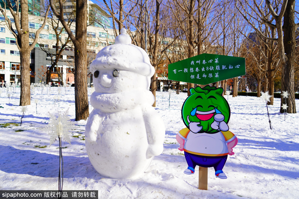 清理积雪有妙招！北京金融街惊现超萌雪人队列成城市靓丽风景线