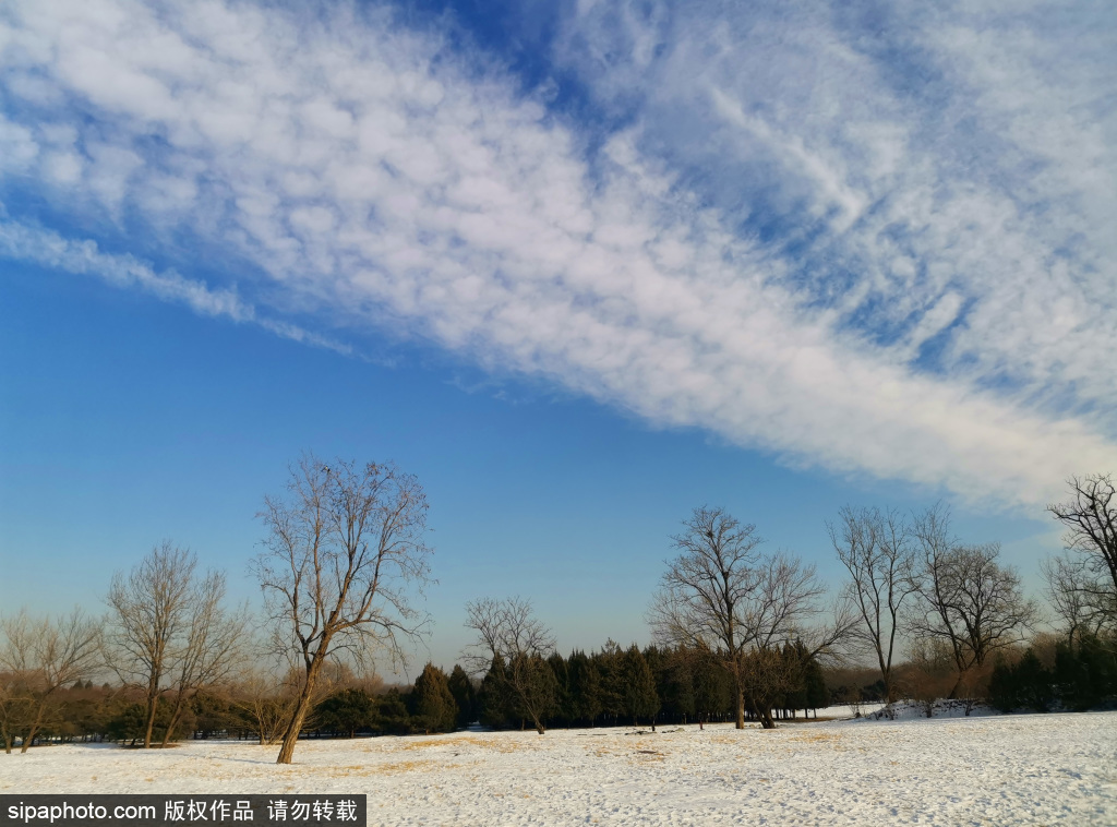冬日持续晴好天气 圆明园蓝天白云景致美