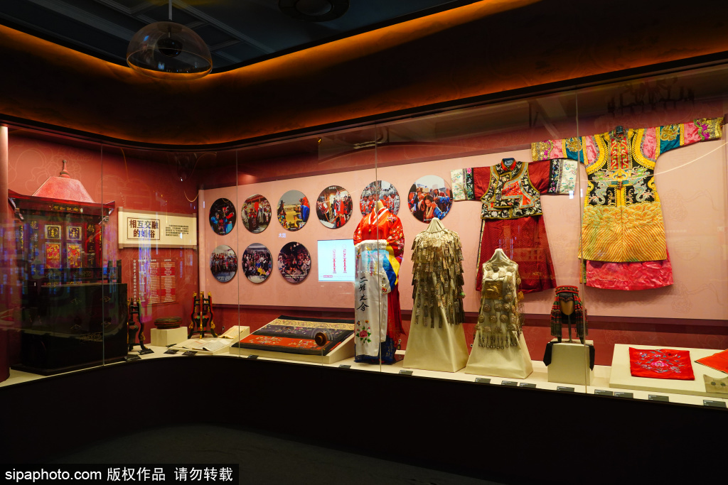 走进铸牢中华民族共同体意识文物古籍展，了解中华民族形成发展历史