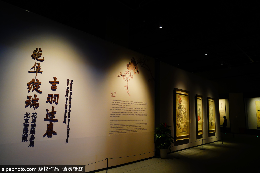 画院藏花鸟画精品展在北京大运河博物馆展出