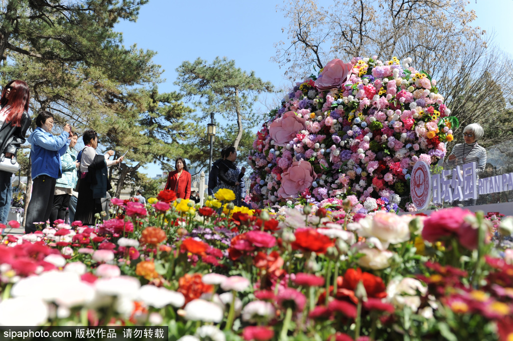 首届北京朝阳花园节在日坛公园拉开帷幕