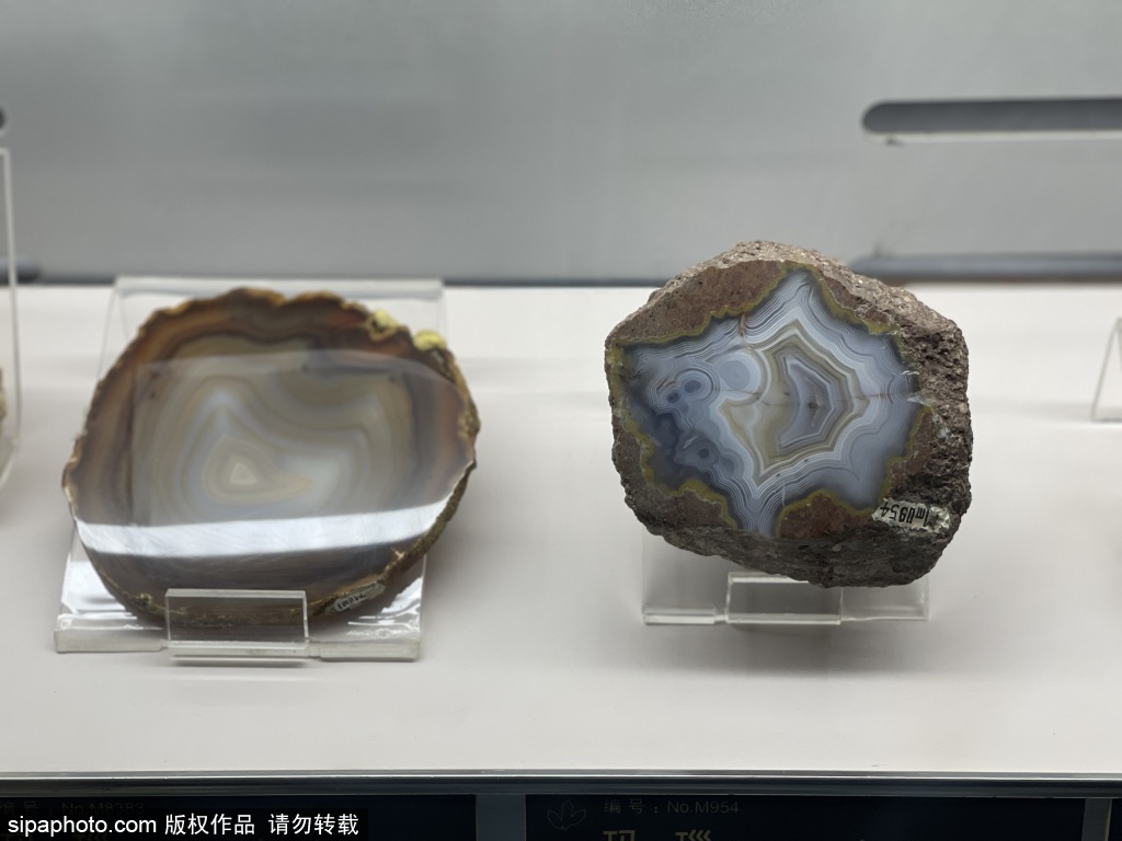 在中国地质博物馆邂逅大自然奇观