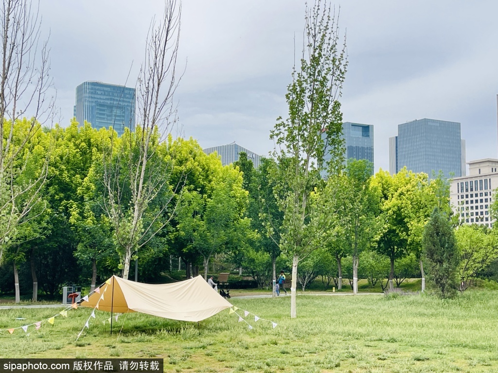 丽泽城市运动休闲公园设立公共露营区打造露营文化