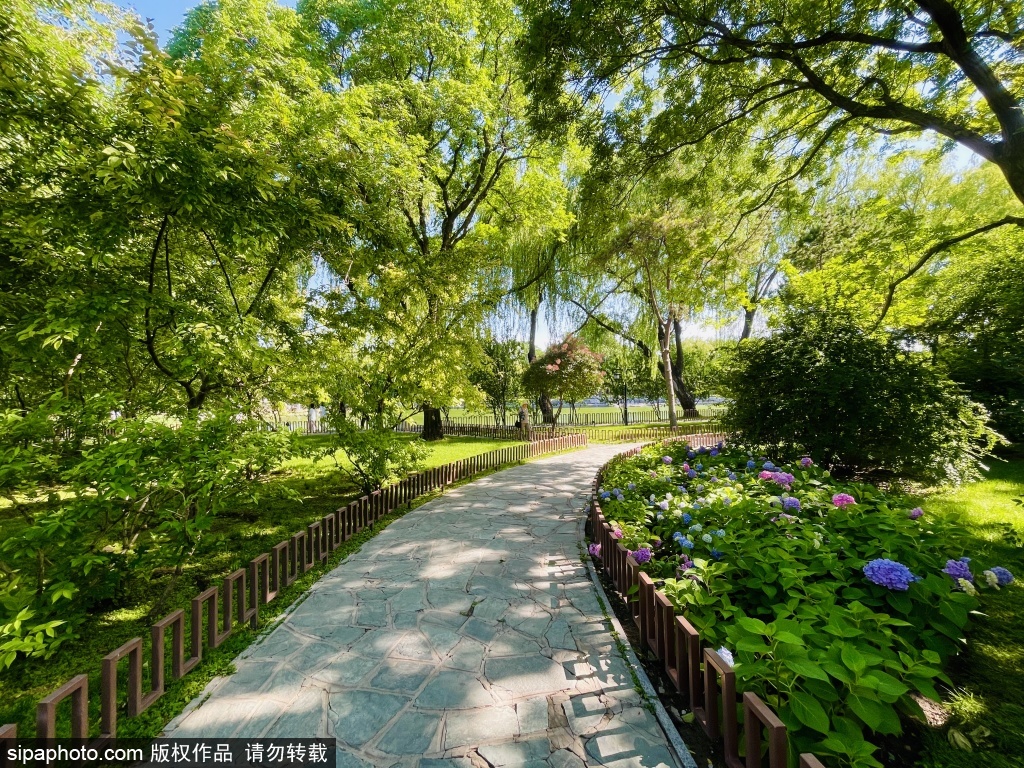 北京避暑纳凉好去处——陶然亭公园的夏天