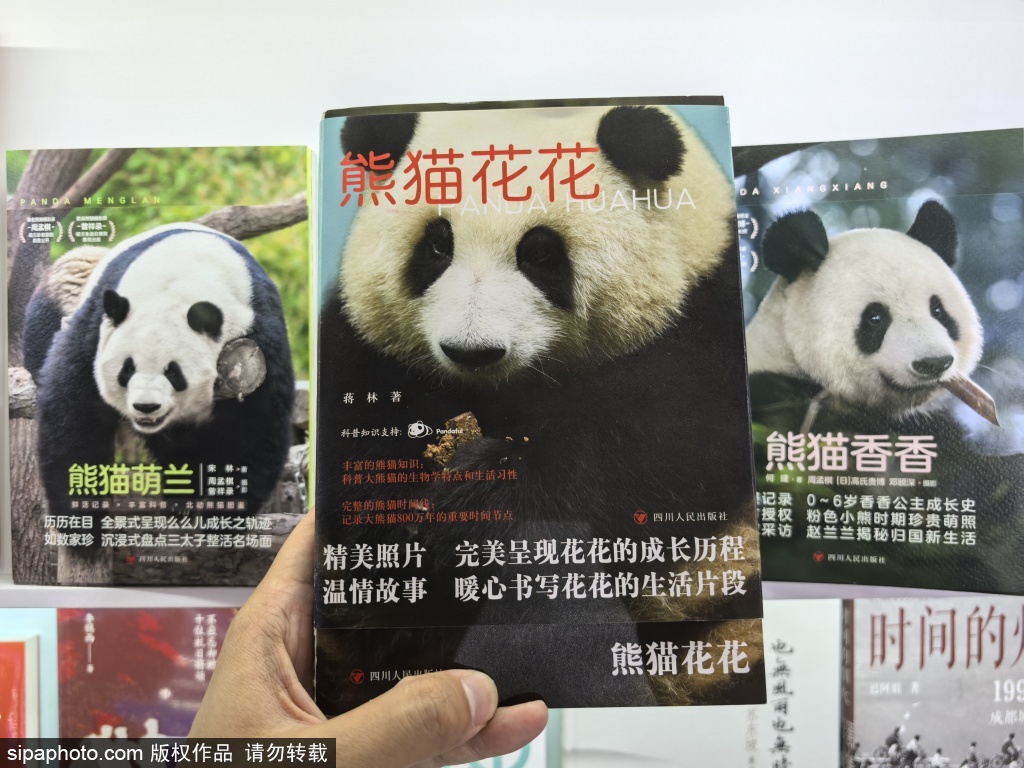 “顶流”花花图书亮相第三十届北京国际图书博览会，各式熊猫文创琳琅满目