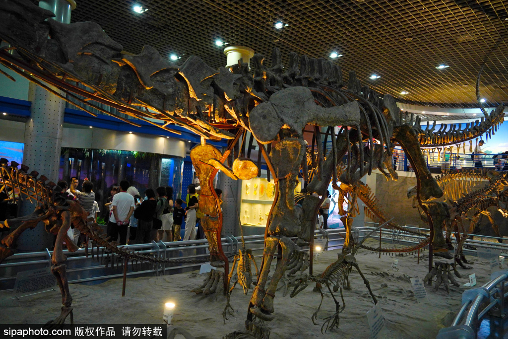 国家自然博物馆古爬行动物厅 恐龙骨架群栩栩如生引围观