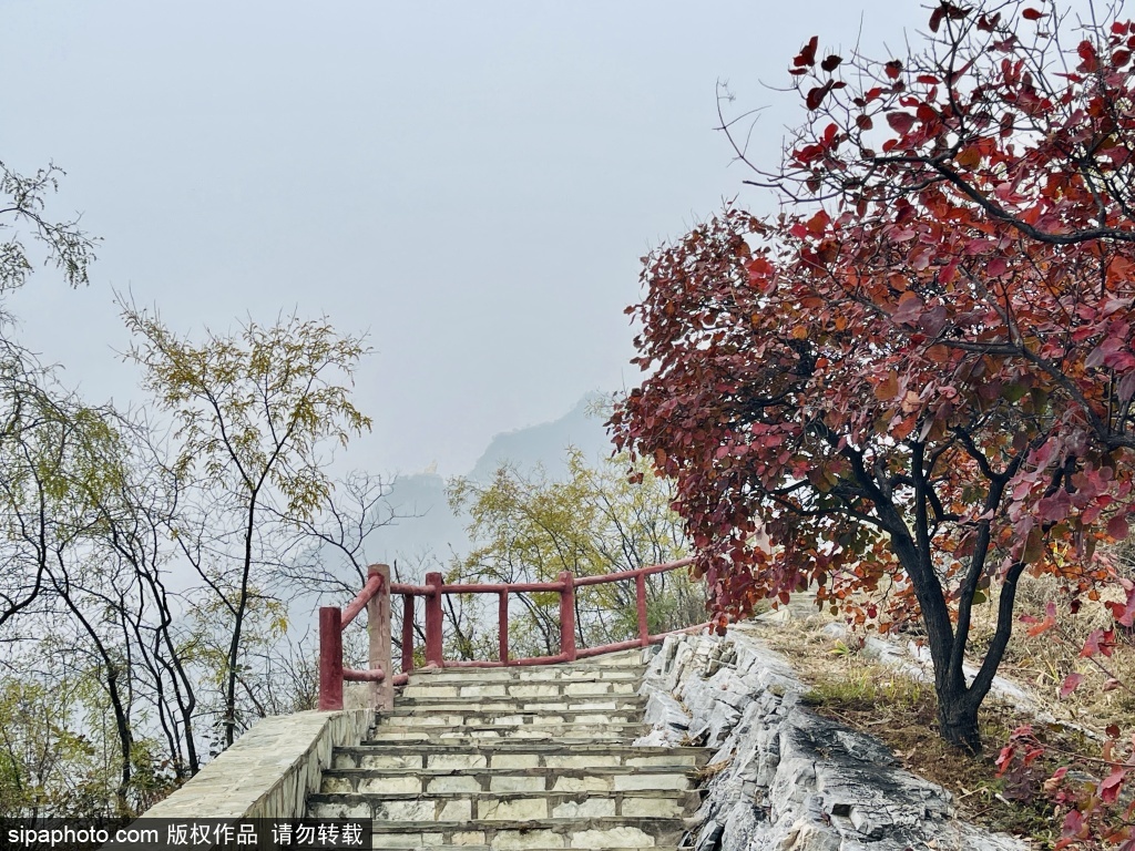 金秋时节徒步登高千灵山赏秋