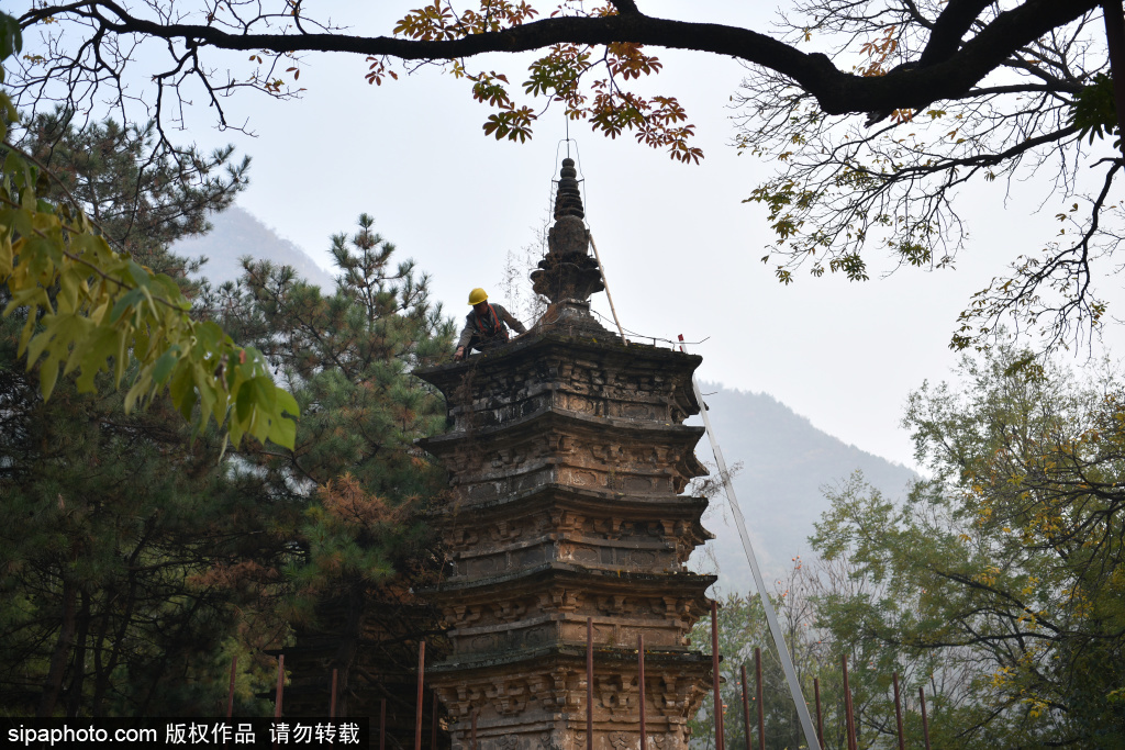 门头沟：千年潭柘寺塔林得到有效保护修缮