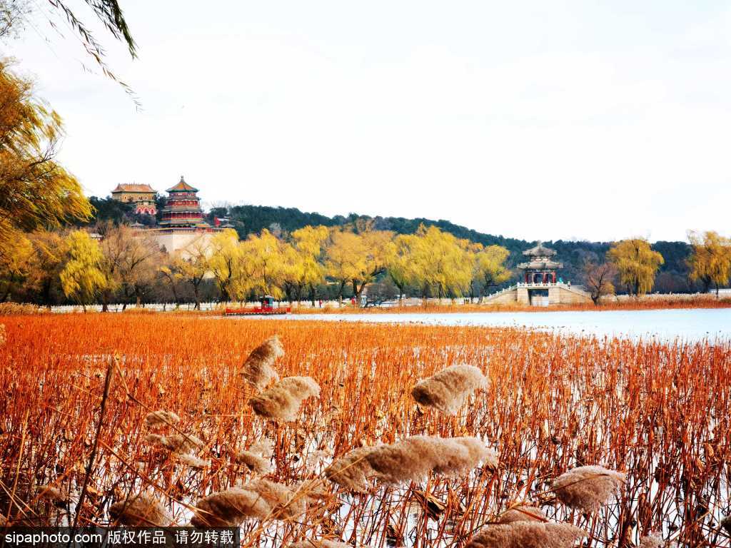 大风吹来蓝天白云，颐和园冬景如画