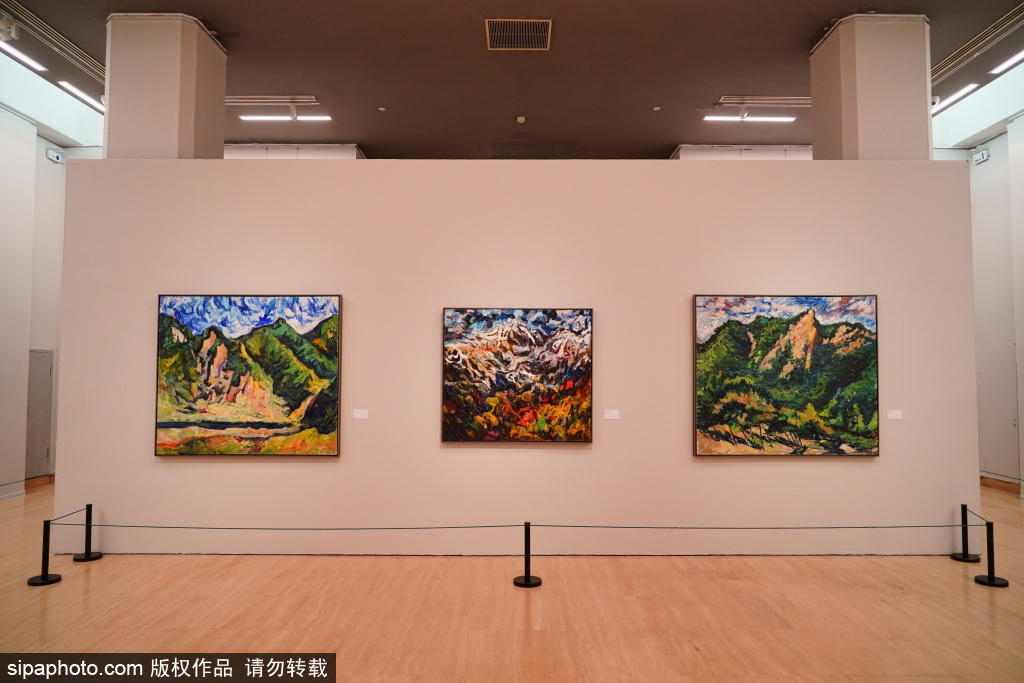 打卡“我看见的——王彦文油画作品展”