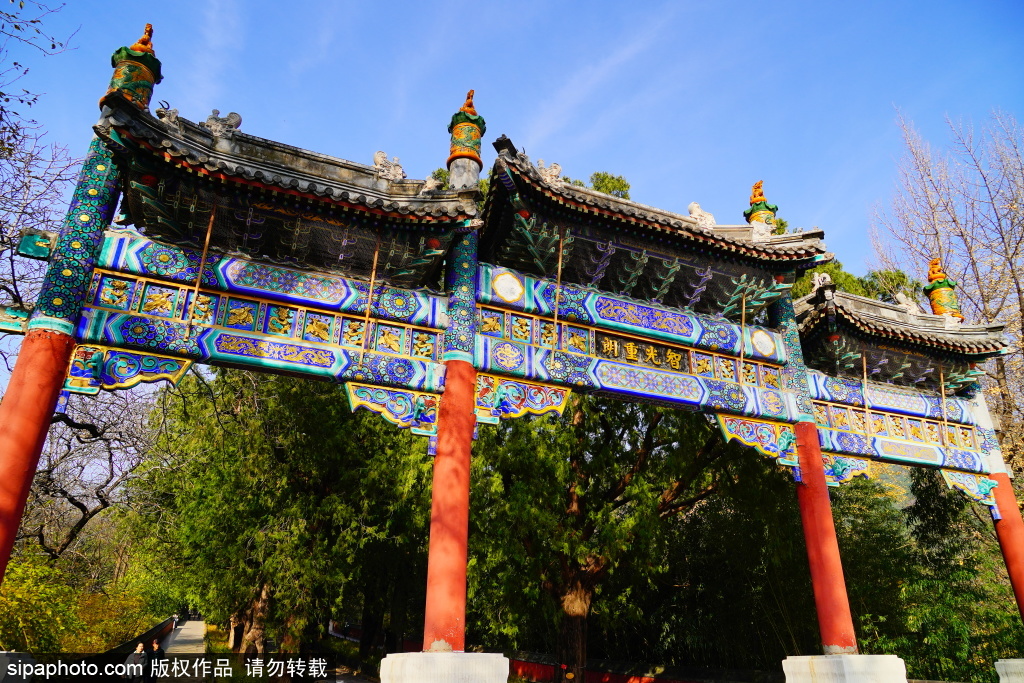 打卡国家植物园卧佛寺“智光重郎”牌坊