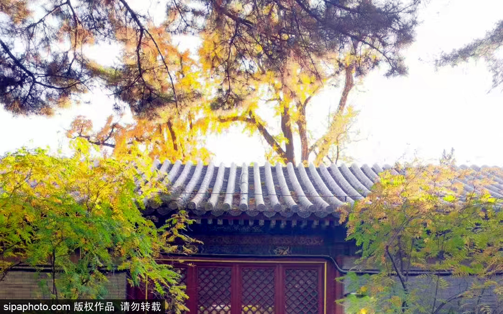 门头沟潭柘山潭柘寺：清代皇帝游山休闲好地方