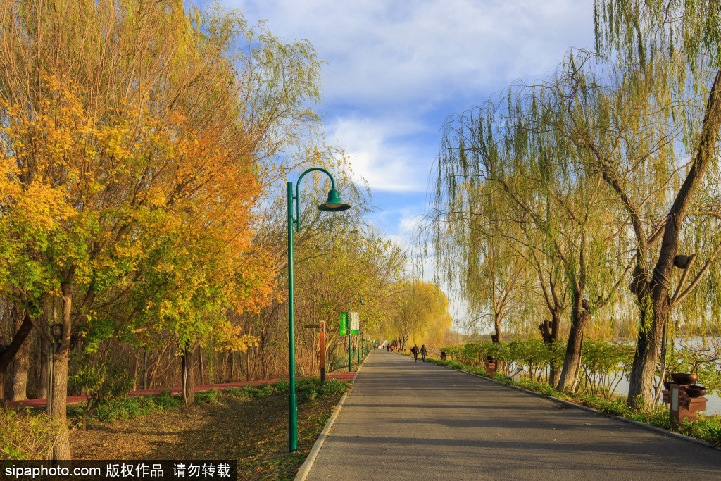 大运河森林公园冬日美景宜人