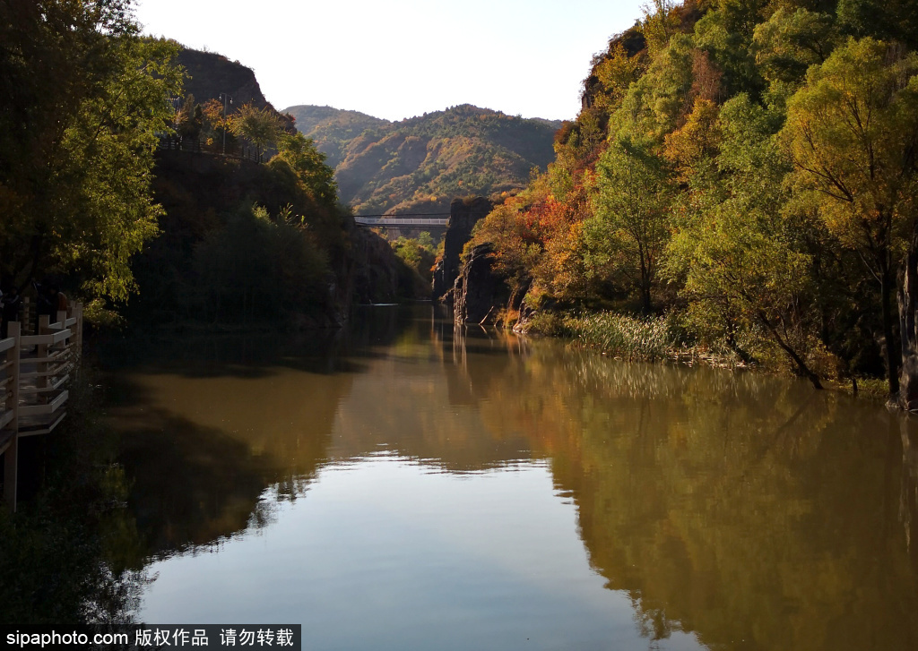 延庆硅化木国家地质公园：全国第一家以稀有硅化木群为主体景观