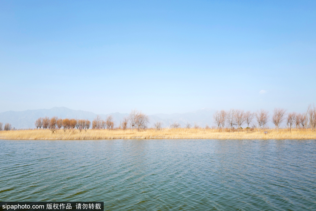 野鸭湖湿地公园深秋风光迷人