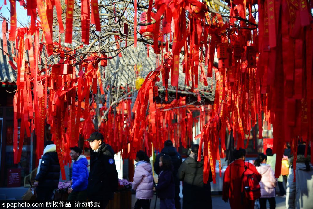 圆明园迎春气氛浓