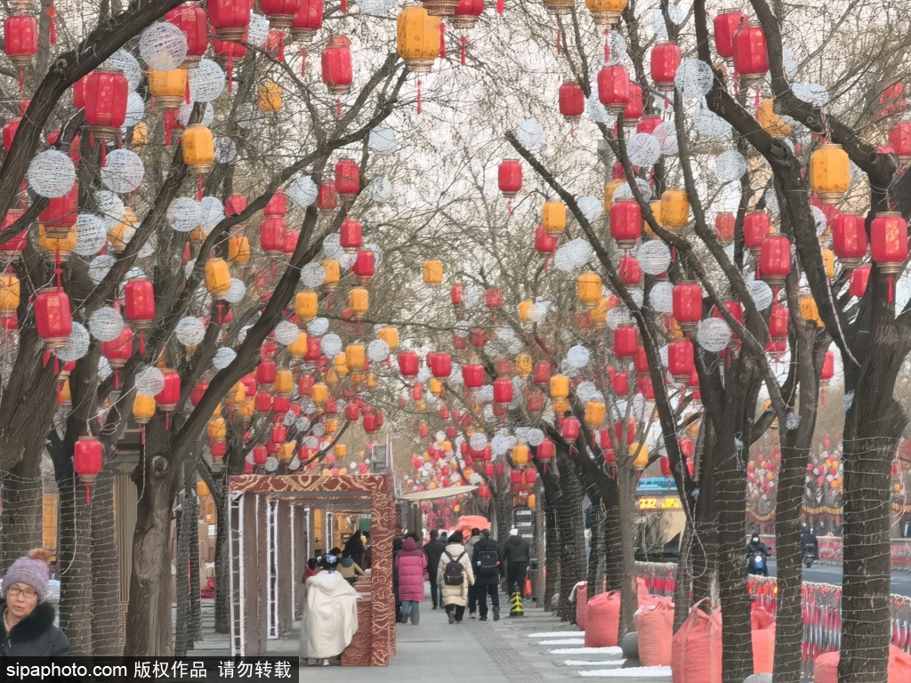 颐和园东门举办首届"三山五园新春文化市集"