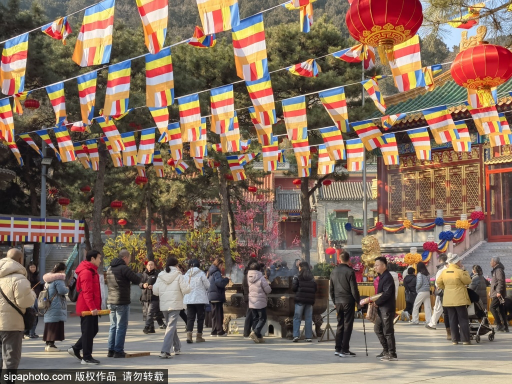 八大处新春文化庙会准备就绪待迎客，欢天喜地咖啡素食馆装扮一新