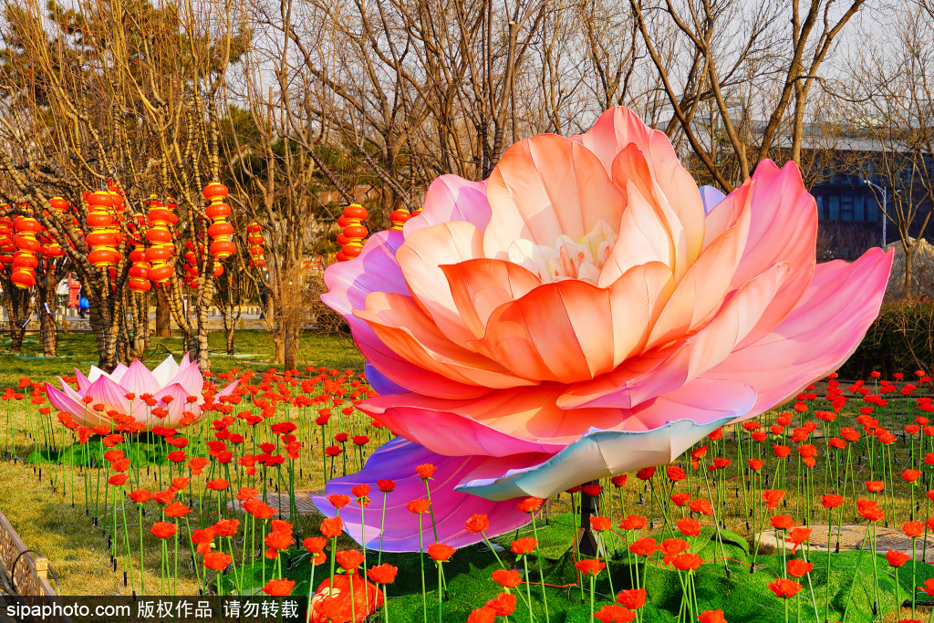 春节景观布置扮靓长安街