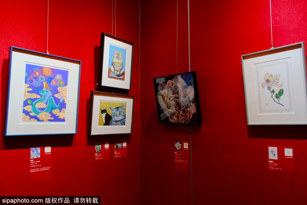 参观“循环往富·代代福”蛇年贺岁小版画展