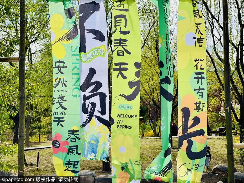 与莲花池公园共赴一场春日茶话会