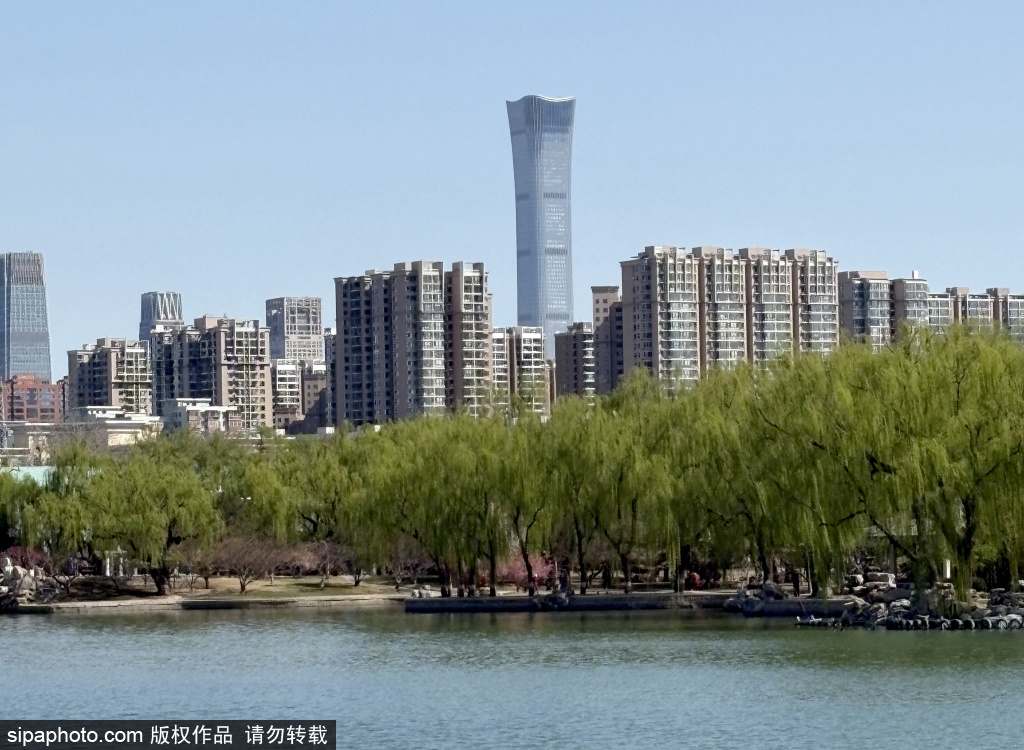 龙潭湖公园美景如画