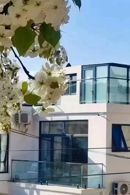 乡博博之桃墅