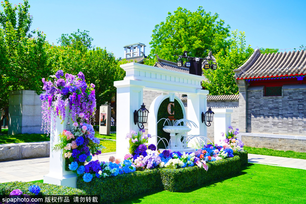 王府中环西座草堂变身艺术花园