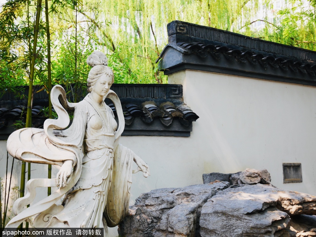 夏日治愈指南——紫竹院公园友贤山馆