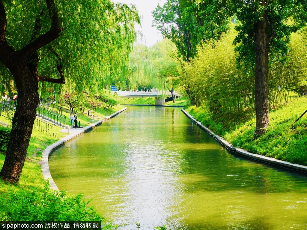 漫步紫竹院公园赏夏日美景