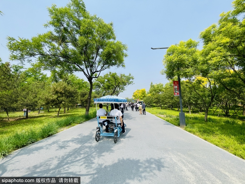 南苑森林湿地公园体验夏日松弛感