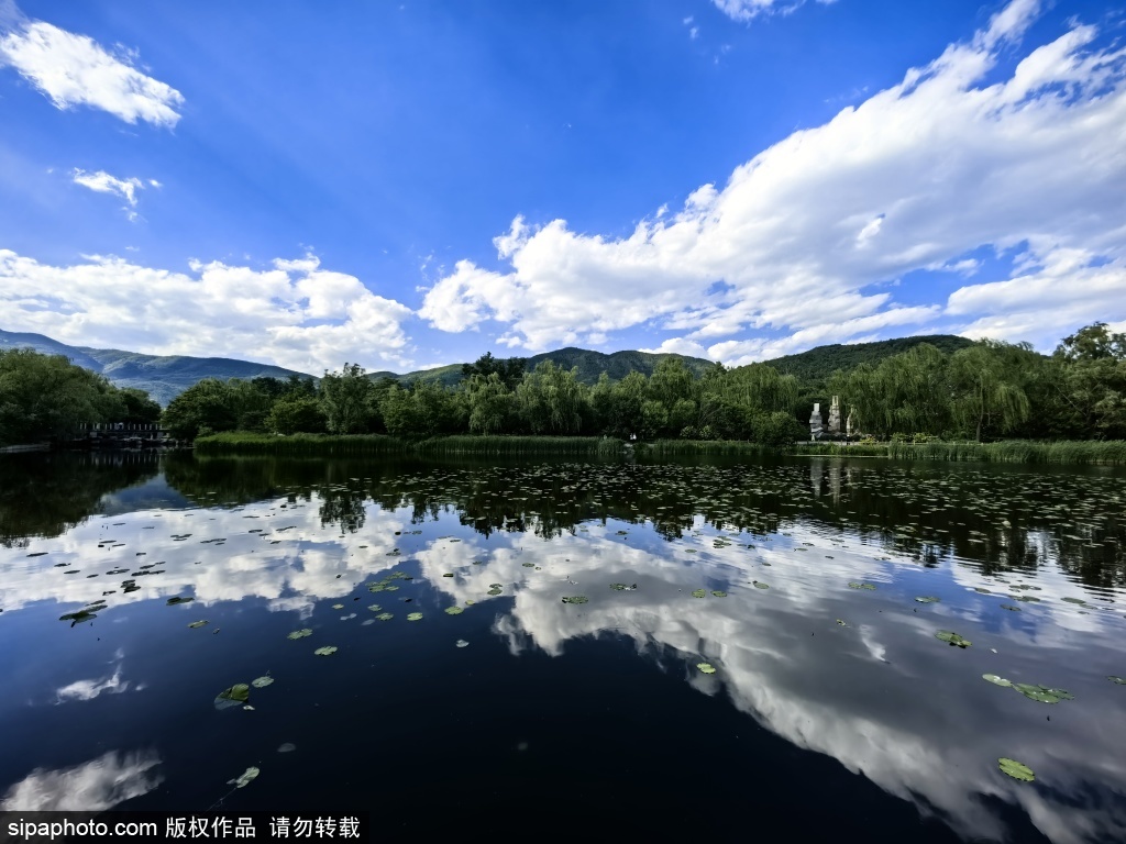 国家植物园夏日时光惹人醉