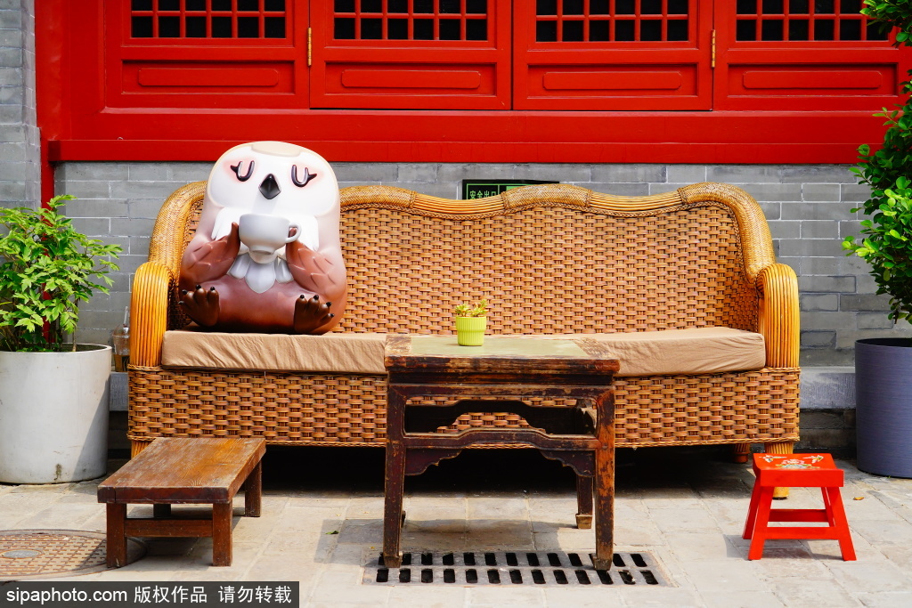 鼓楼脚下百年古建中与雨燕共舞