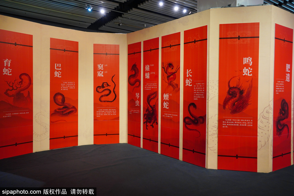 “它们 · 巳蛇”展探访奇妙世界