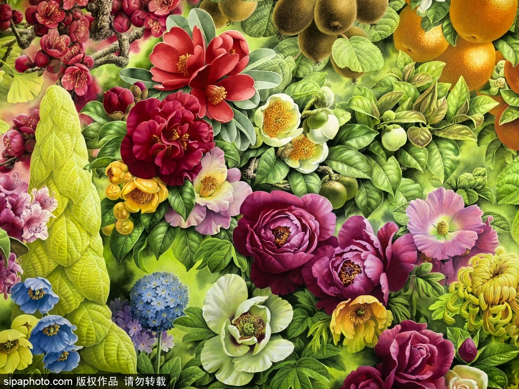 国家植物园科普馆感受植物文化，奇思妙想压花艺术展亮相