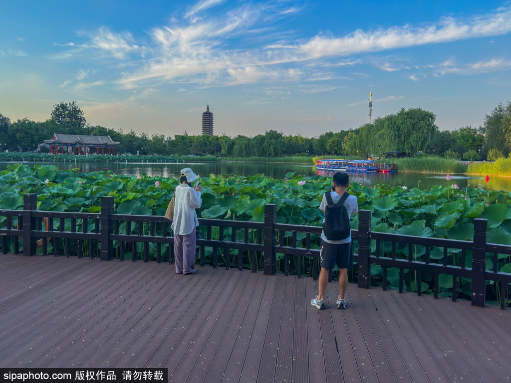 西海子公园赏景游园觅清凉
