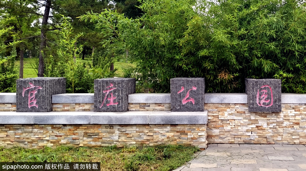 八大景点组成的官庄公园夏日荷花最诱人
