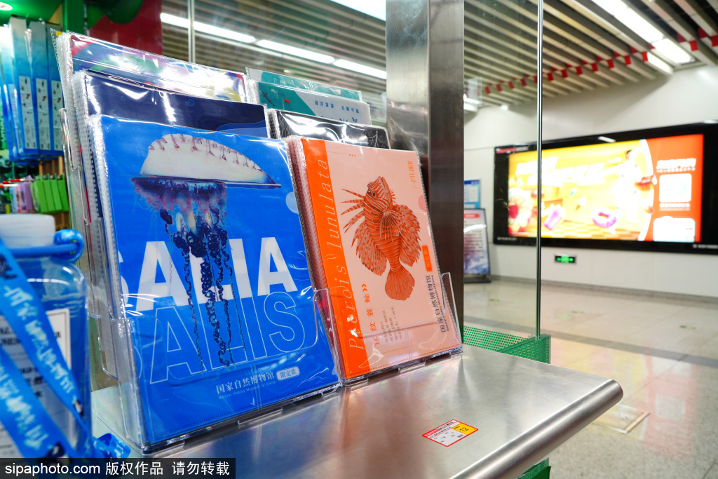 地铁八号线天桥站 壁画生动再现老北京市井生活
