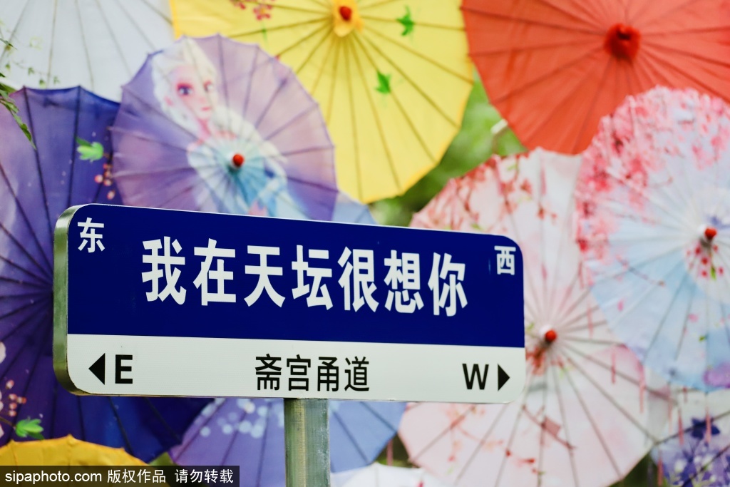 处暑时节天坛公园祈尚雅集体验古韵今风