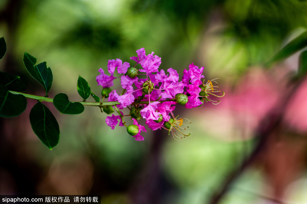 大运河文化旅游景区：一楫秋光入画来，白露为序秋染运河