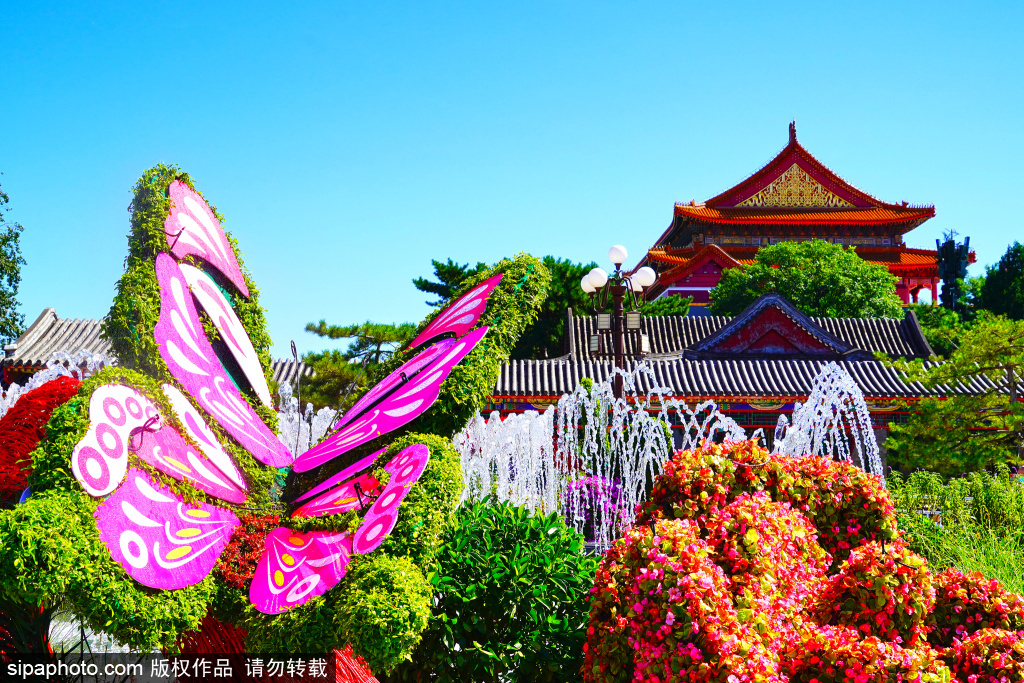 天空澄澈如洗，蓝天下的中山公园景色如画