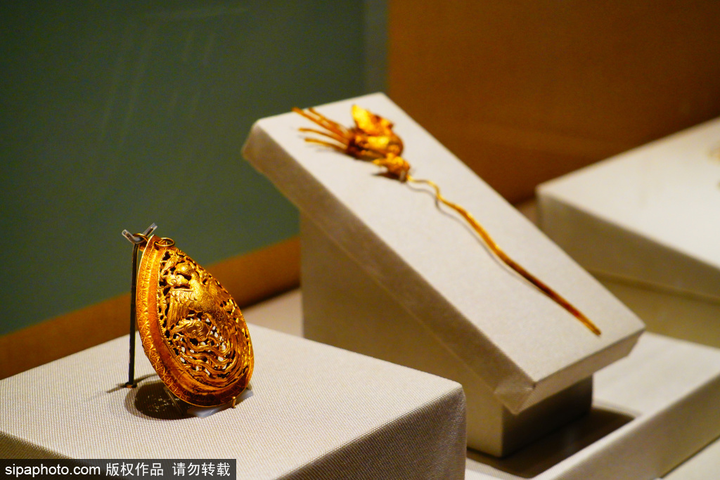 明清禽鸟主题文物展，尽显文物灵动之美
