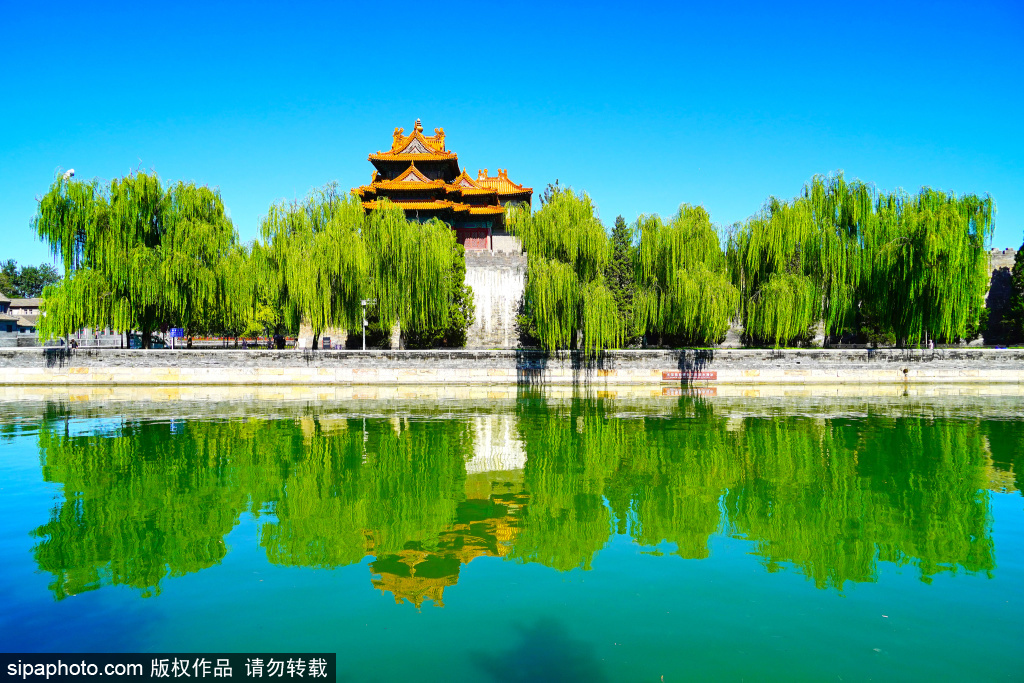 故宫筒子河现“天空之镜”美景