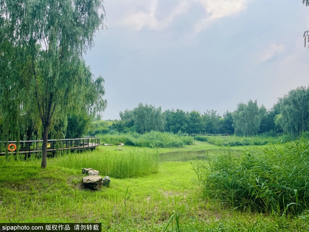 皇家猎苑饮鹿池公园