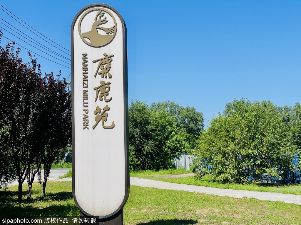 南海子公园麋鹿苑，都市里的世外桃源